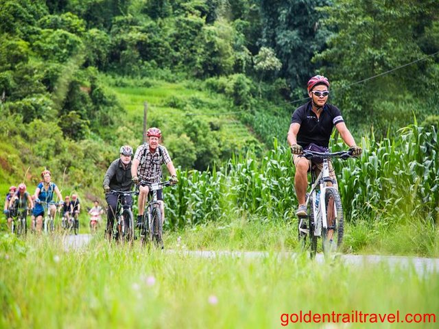 Sapa Bike Ride Half Day